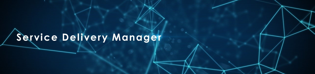 Service Delivery Manager