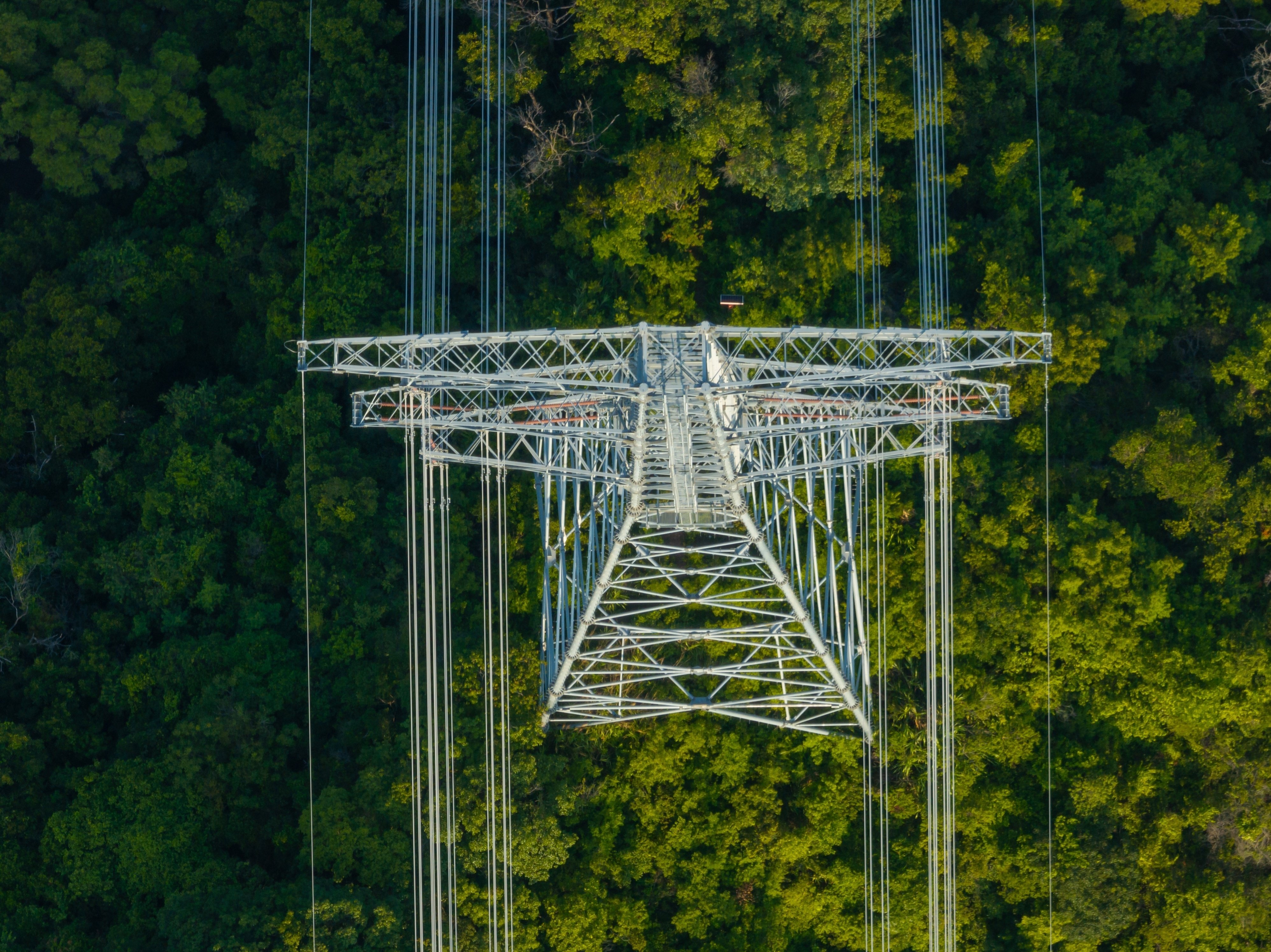 Green Cloud: nachhaltige Innovation für komplexe IT-Architekturen